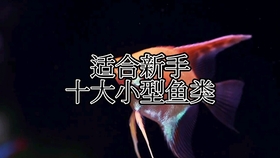 6564d2caec0464924b465adf9479aea28d33ca65.jpg@280w_158h_1c_100q.jpg
