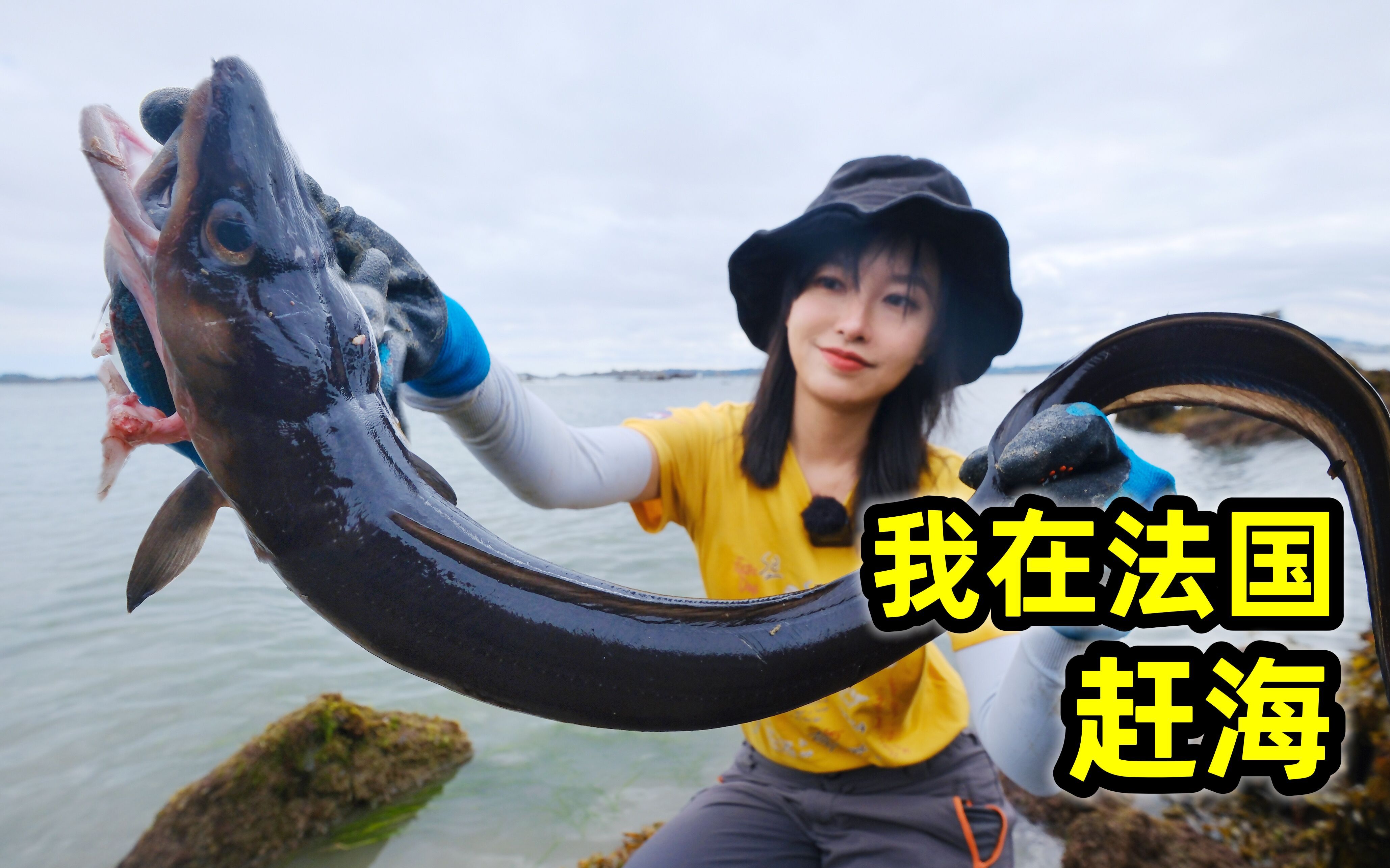 在法国赶海，抓1米长海鳗鱼形似黑蛇，炖海鲜锅鲜香味美