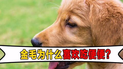 65b5da35ae17279eca20655abb6eaee2df836cfd.jpg@480w_270h_1c