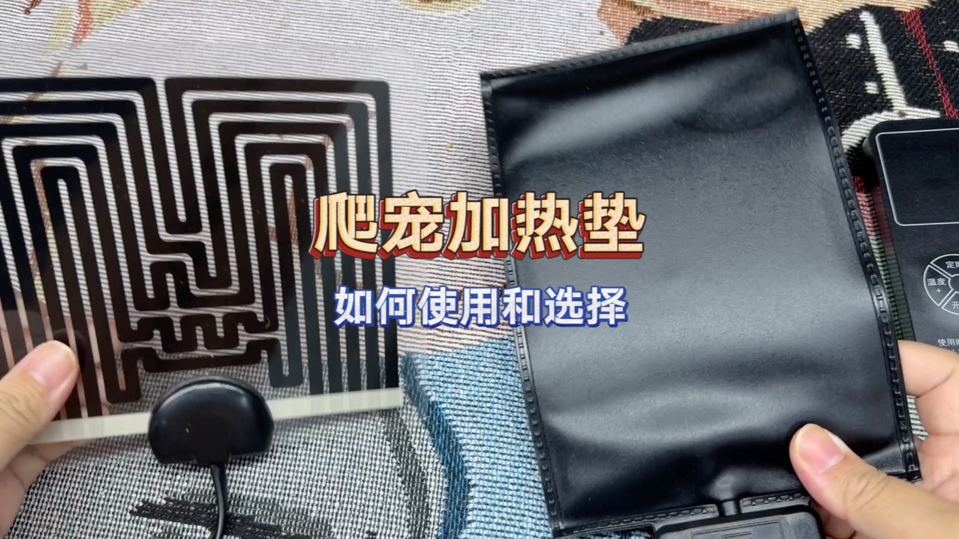 养爬宠的宝们 我猜你们很需要这期视频｜爬宠加热垫的选择以及使用方法