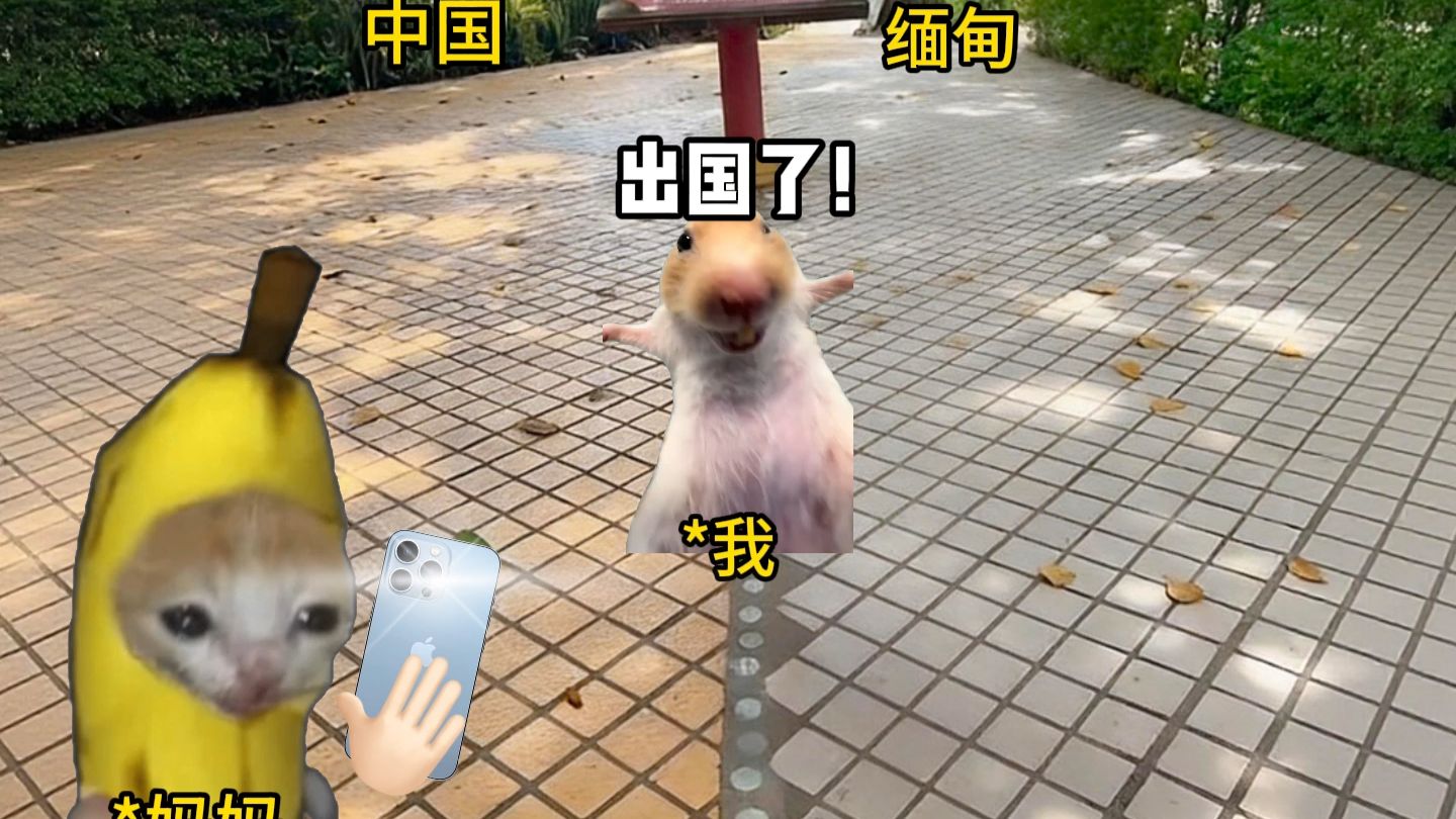 当我在交界地调皮时
