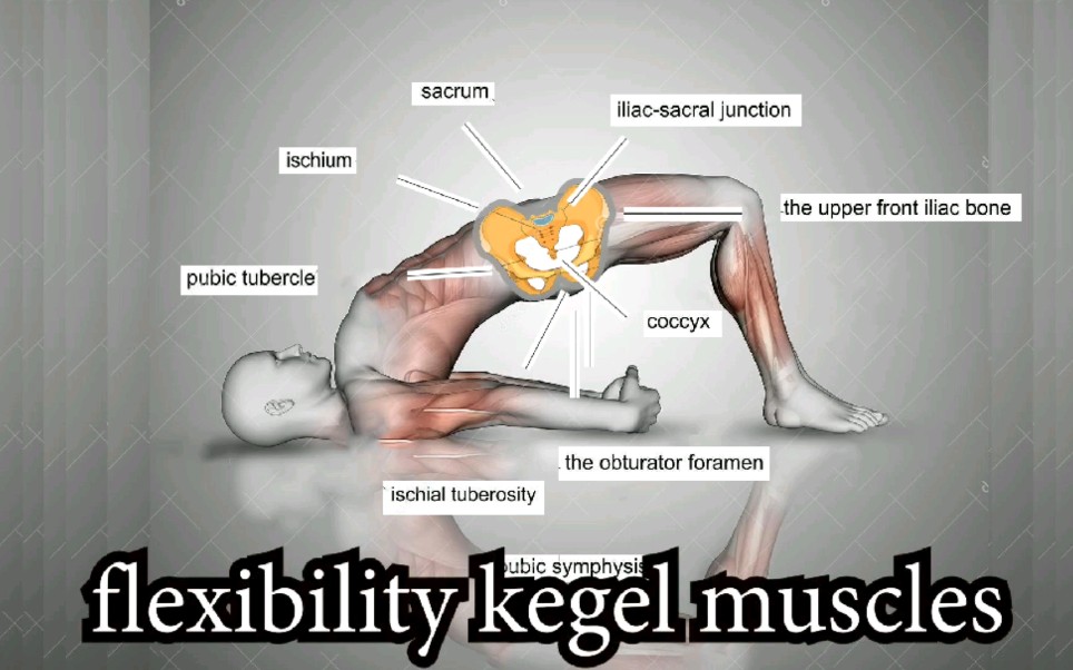 男人凯格尔运动强化盆底肌让你更强大！