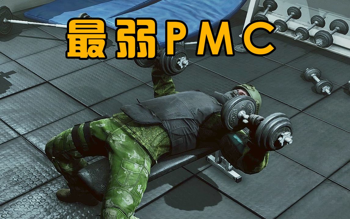 尼基塔看看你做的PMC把！！！