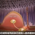 【科普】- 肠粘膜免疫系统是如何运作的 - Nature Video -中文字幕