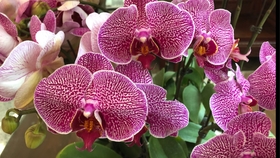 65e5fa7b760375191cc274925bfe96907de4ccb6.jpg@280w_158h_1c_100q.jpg