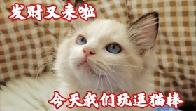 65ea11834d24513e6a6252eb90cc2fa5d510087e.jpg@280w_158h_1c_100q.jpg