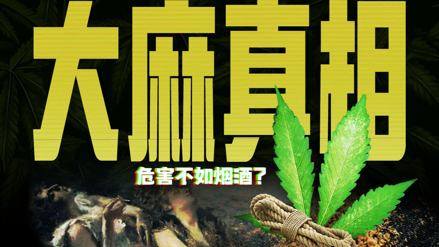 危害不如烟酒？一口气把大麻和它的危害讲清楚【药不能停5】