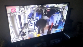 鸟之诗八音盒简谱_鸟之诗简谱