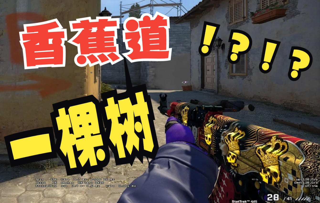 香蕉道一棵树