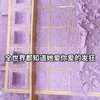 不原谅，不复合，苏小姐独美