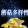 【生物多样性】中国蘑菇篇