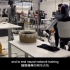 Elon Musk 埃隆马斯克|特斯拉机器人|人形AI机器人