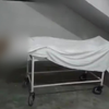 恐怖！13岁女孩出车祸死亡遗体无人看管，惨遭流浪狗拖拽“啃食