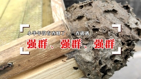 665180a0301665ebeb065ec4152599f3ae899b6f.jpg@280w_158h_1c_100q.jpg