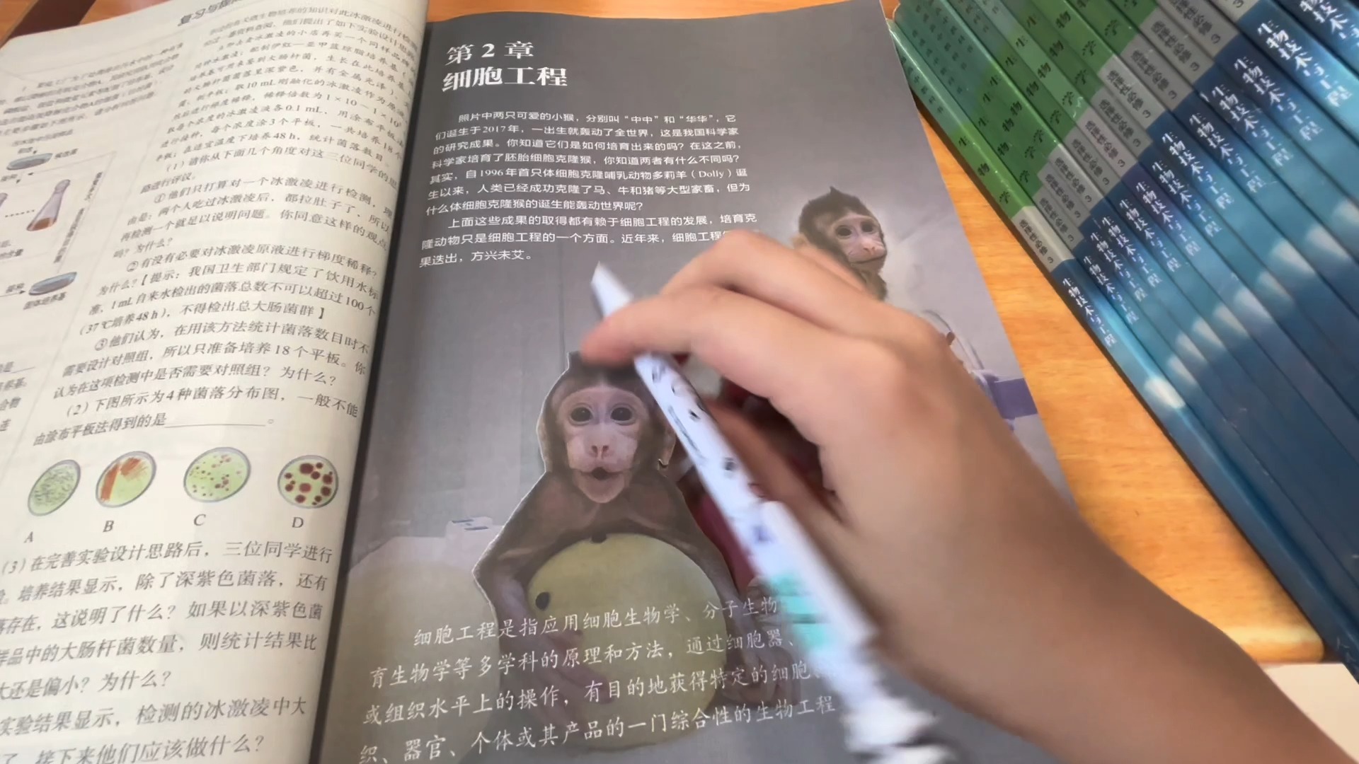高中生居然也能自制克隆猴？