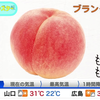 桧山沙耶すもももももももものうち(合集