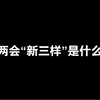两会“新三样”是什么