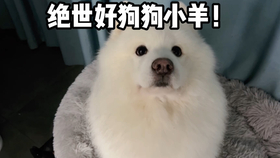 668a1f1cea4cf4cec7bfc9bef62977f36efd5f26.jpg@280w_158h_1c_100q.jpg