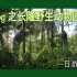 VLOG丨广州长隆野生动物园一日游