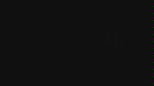 669ddab71c9b75c0c04b3c0401da5b7608de576b.jpg@310w_174h_1c_100q.jpg
