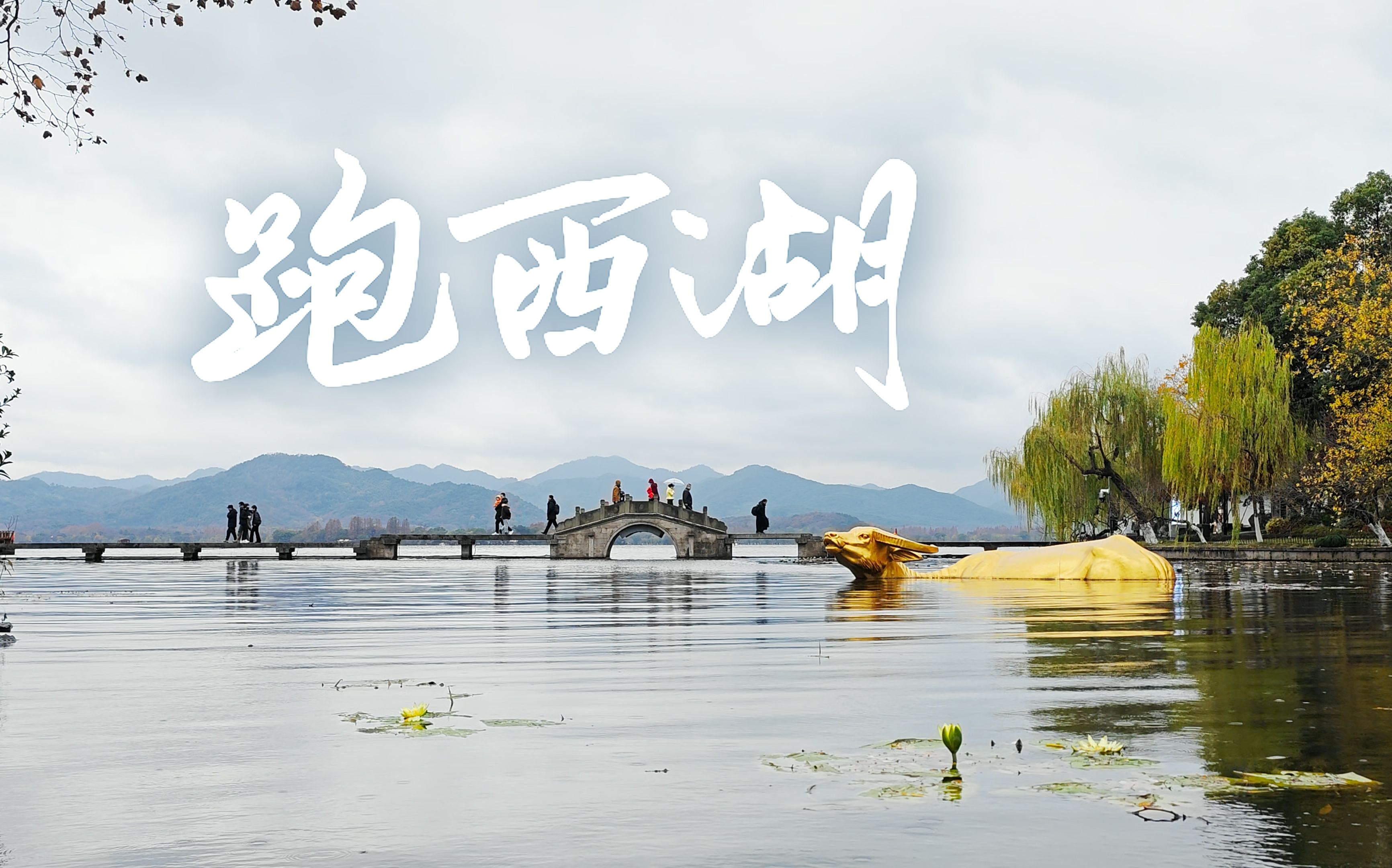 第一视角-慢跑西湖