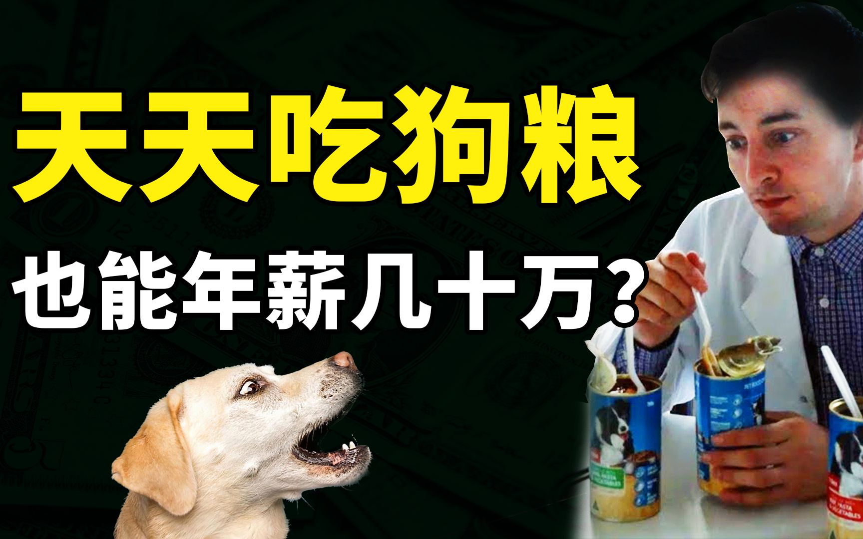 年薪几十万，包吃还管饱的狗粮试吃员，为什么那么难应聘？