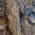 卧龙凤雏！狗子跟小伙伴报苞米地玩耍，发现泥坑结果一发不可收拾