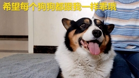 66b412184662af74d411f6f8072d617bf1a4fb96.jpg@280w_158h_1c_100q.jpg
