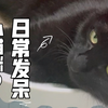【郭里奥喵】到处看看突然给你一个亲亲