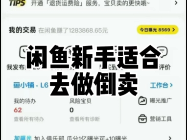 闲鱼新手适合去做倒卖