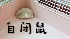 66c9127d2eed8f6927fe5cb6c8c90720b1bc593d.jpg@280w_158h_1c_100q.jpg