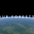 谷歌地球 我们森林变化