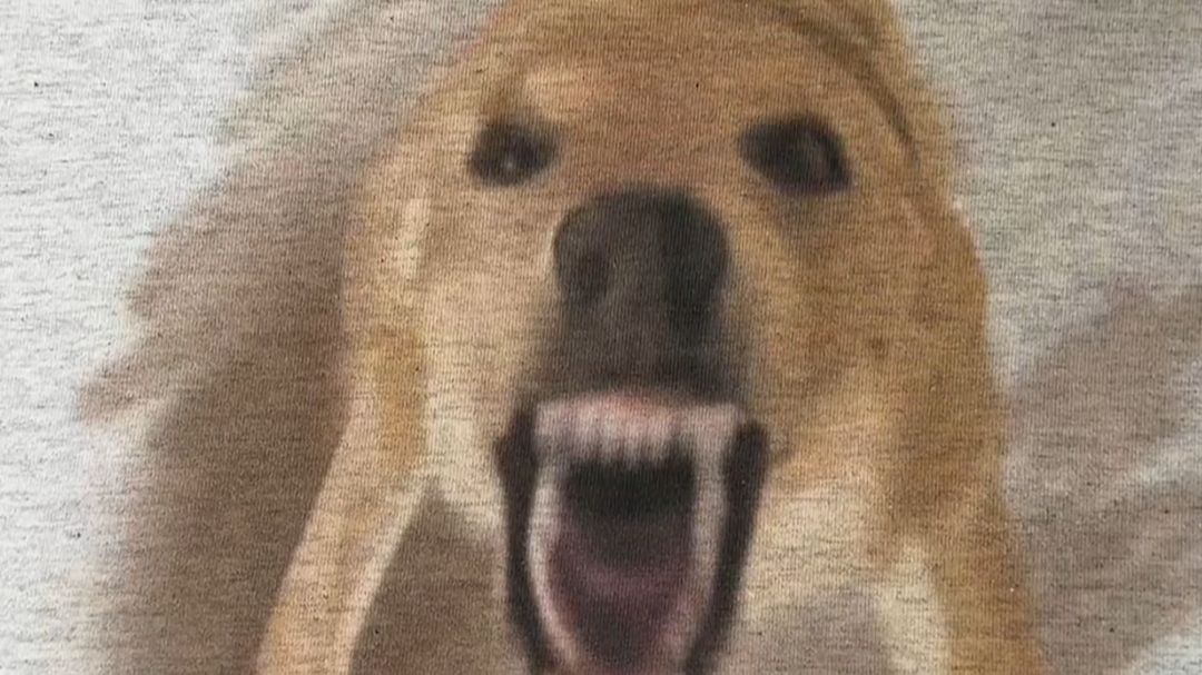 哎，大狗