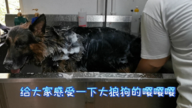 66ef9cd03707b023f36fe12c6dae2bc964b9db94.png@280w_158h_1c_100q.jpg