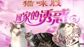 6713699924ff6de19405c2878dcae91c70b5a892.jpg@280w_158h_1c_100q.jpg