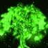 绿叶对根的情意配乐成品 绿叶对根的情意led背景视频