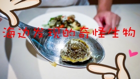 6740241c6cbf6e90a4225cdbc6555ba0c39aa296.jpg@280w_158h_1c_100q.jpg