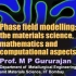 Phase field modelling（相场法）