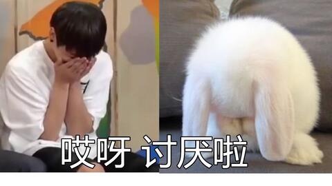 674d5a14973919279077e10ae8e576d61dc9cbaa.jpg@480w_270h_1c