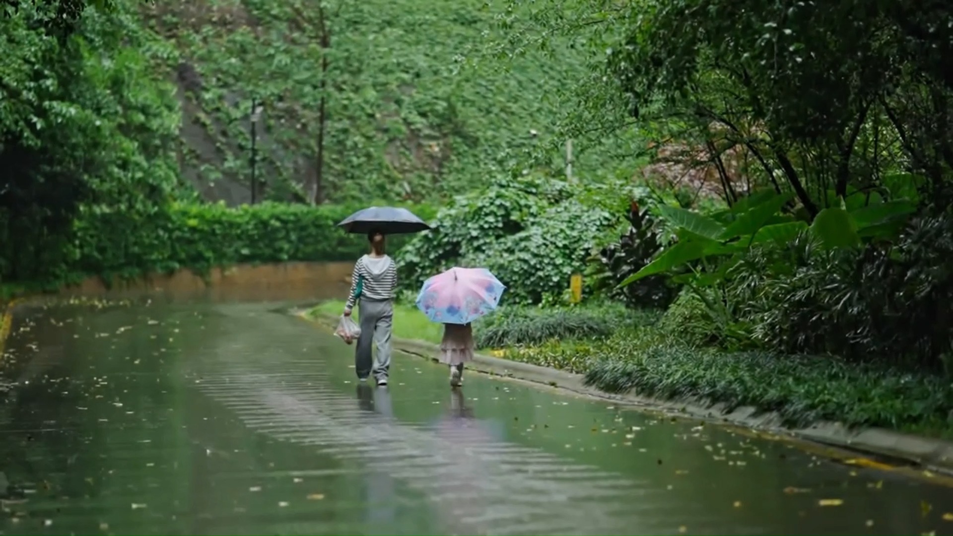 【空镜素材】雨天撑伞