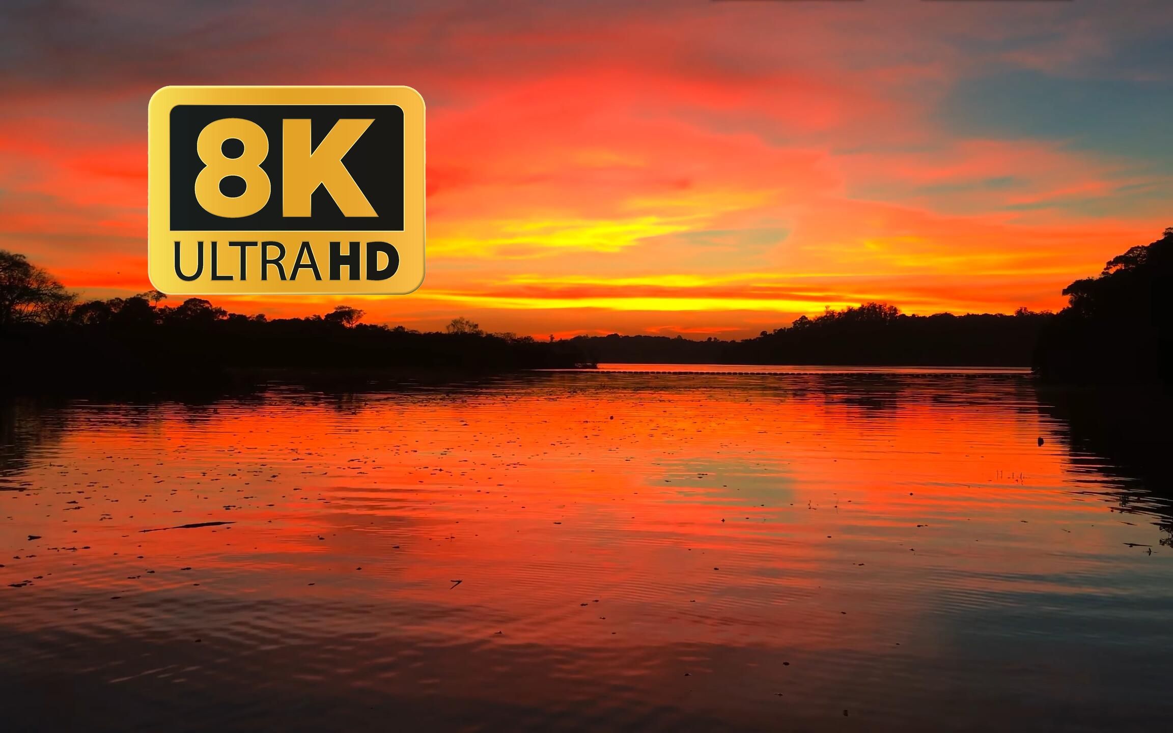 12K HDR Unbelievable Dolby Vision Experience