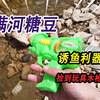 小河里发现满河不明糖豆，引诱来一群小鲫鱼，捡到一把玩具小水枪