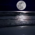 视频素材 ▏ k615 唯美梦幻浪漫大海海洋海面上大圆月亮中秋节晚会童话世界舞台大屏幕LED视频动态背景视频素材