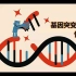 新浙科版高中生物必修二《4.1基因突变可能引起性状改变》