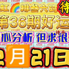 2月21日昨日吃肉啦，今日继续努力冲四连鸿！今日排三六码推荐。今日排三六码预测，跟车的抓紧