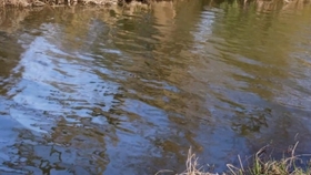 怎么描述夏天的景色 6788b5337a1356195b003fbe9d8540cf6b64c9c9.jpg@280w_158h_1c_100q.jpg