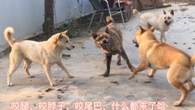679a042072bde081df213be40c03a7975bdc473f.jpg@280w_158h_1c_100q.jpg