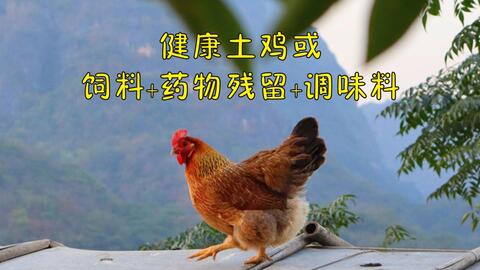 67b2fa768f89f9daa5d32a354c73f45371d08e0c.jpg@480w_270h_1c