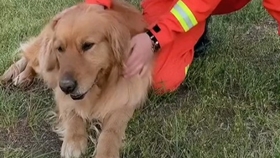 怎样变成小虎牙 67b81c2e56c7253fd084b817112cad314596fae2.jpg@280w_158h_1c_100q.jpg