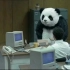 暴躁大熊猫，怒砸电脑